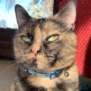 Meet your Posher, Kaylee